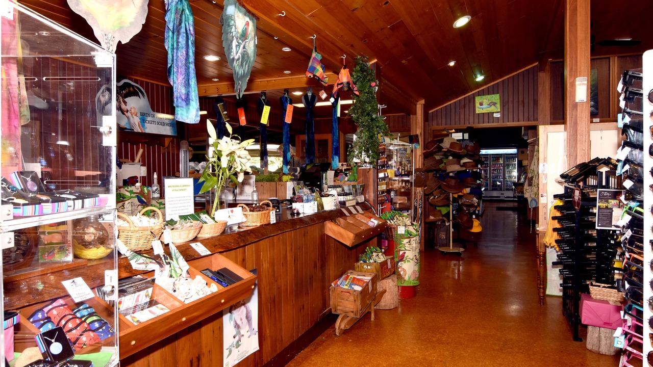 Photo of Others in O'reilly