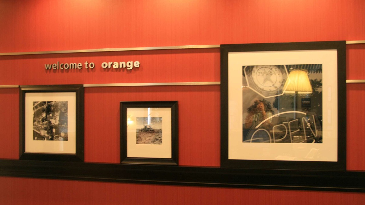Photo of Others in Orange