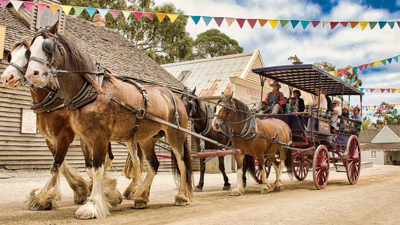 Photo of Outdoor in Golden Point