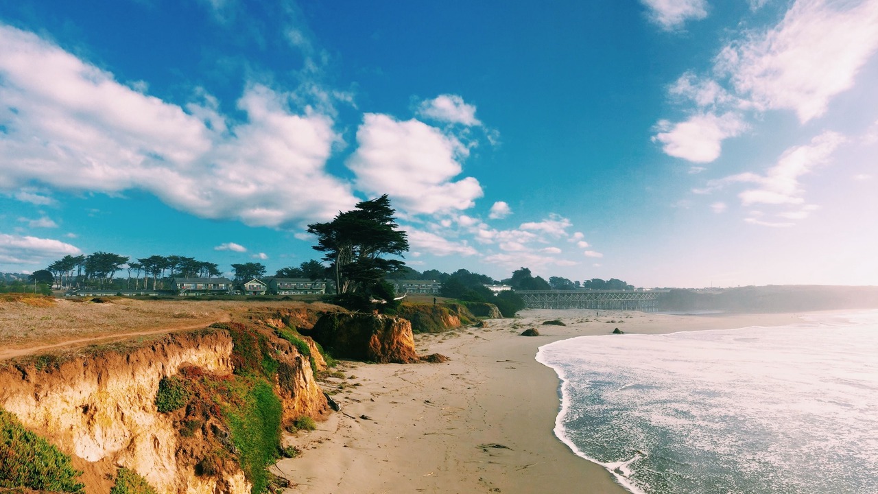 Photo of Others in Fort Bragg