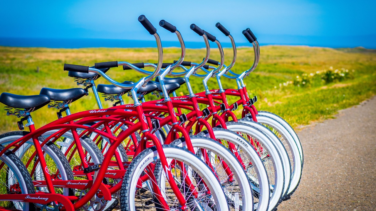 Photo of Outdoor in Fort Bragg