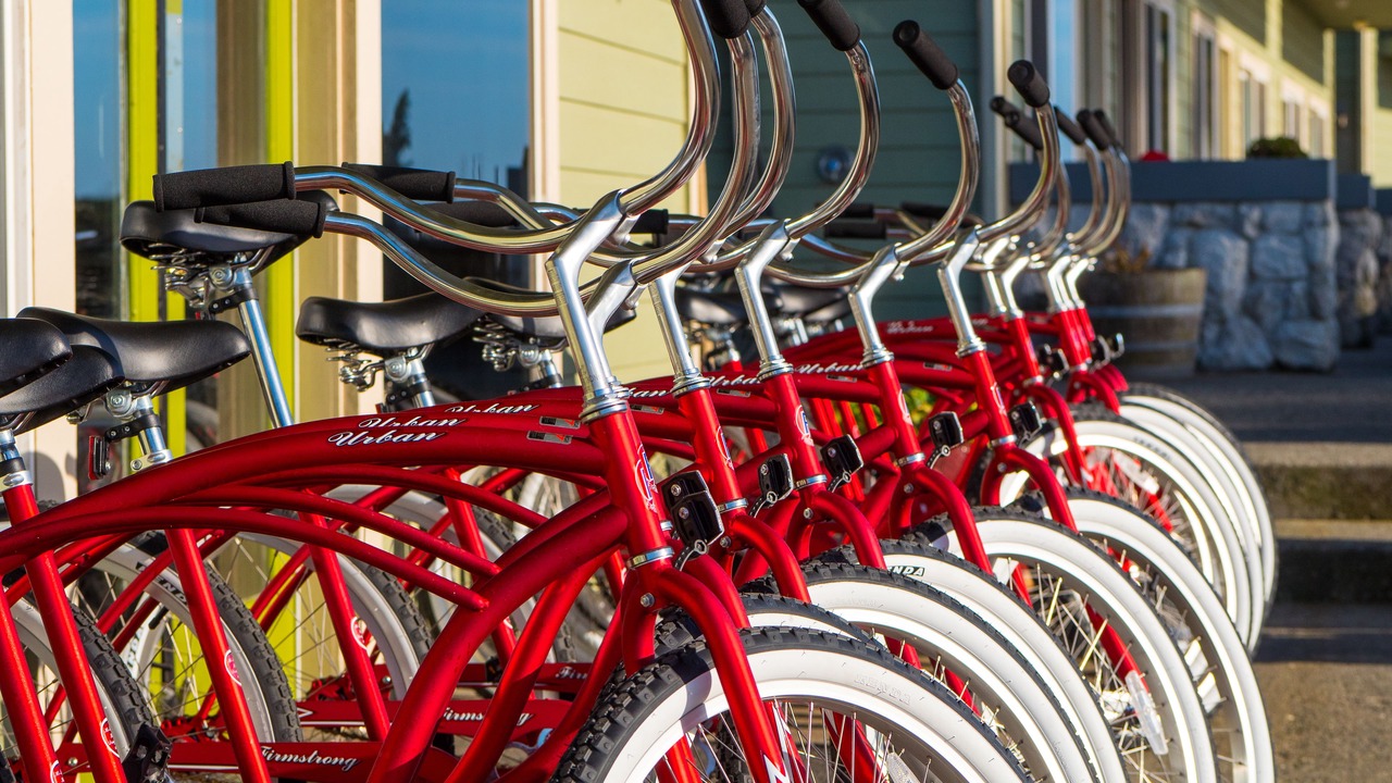 Photo of Outdoor in Fort Bragg