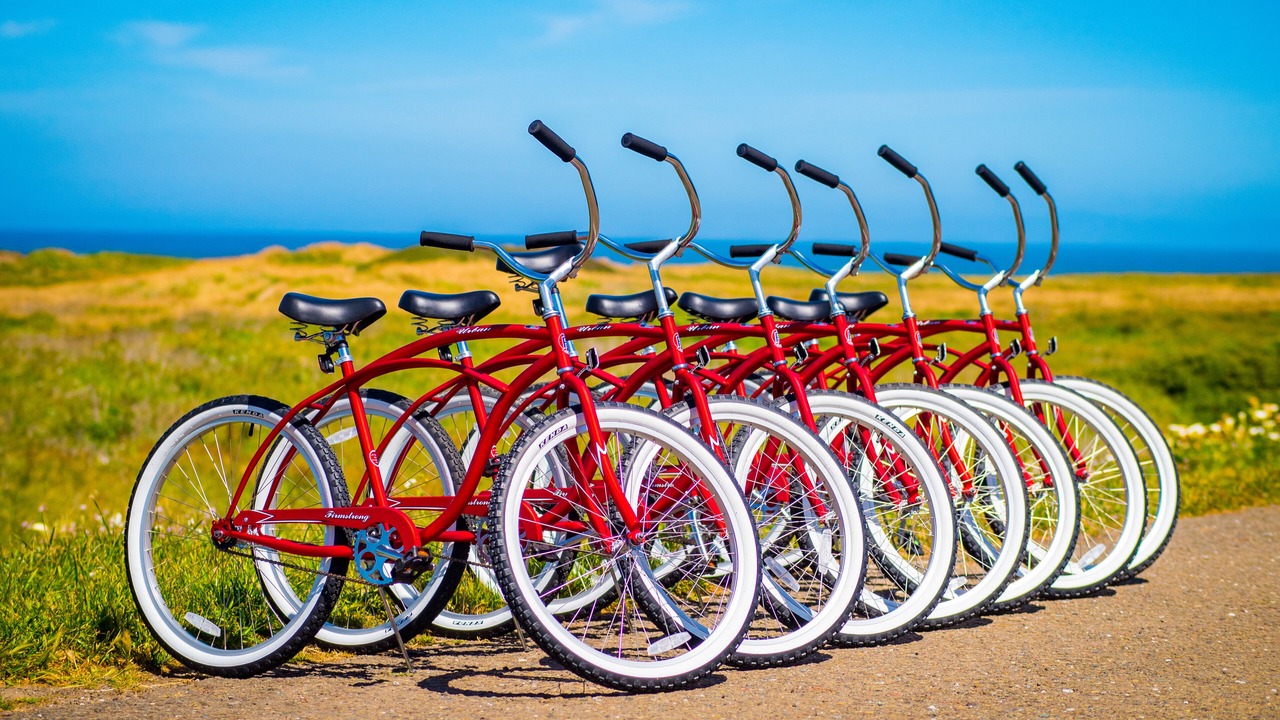 Photo of Outdoor in Fort Bragg