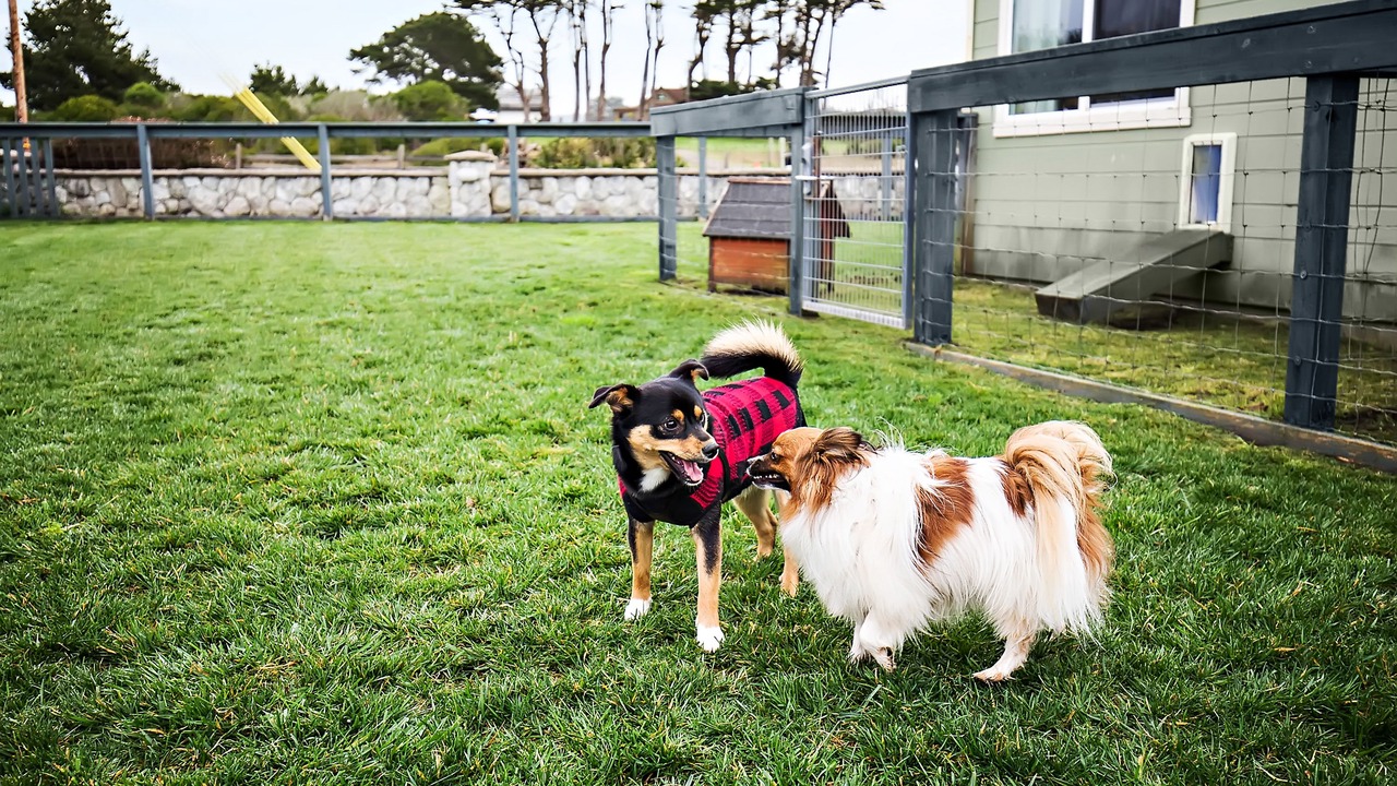 Photo of Others in Fort Bragg