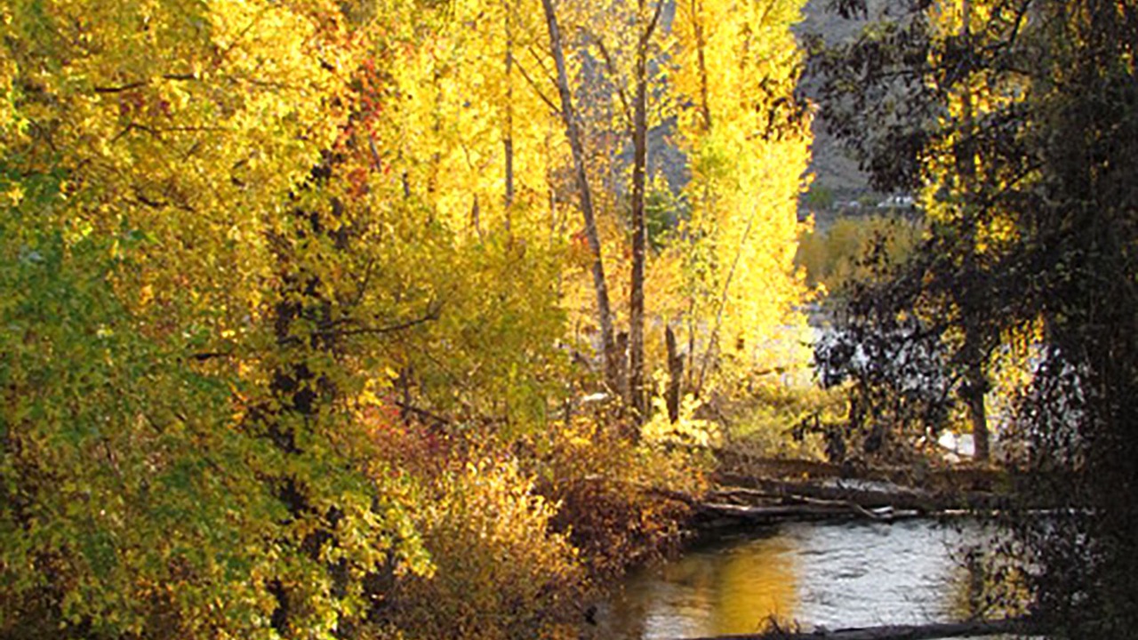 Photo of Outdoor in Sunnyslope