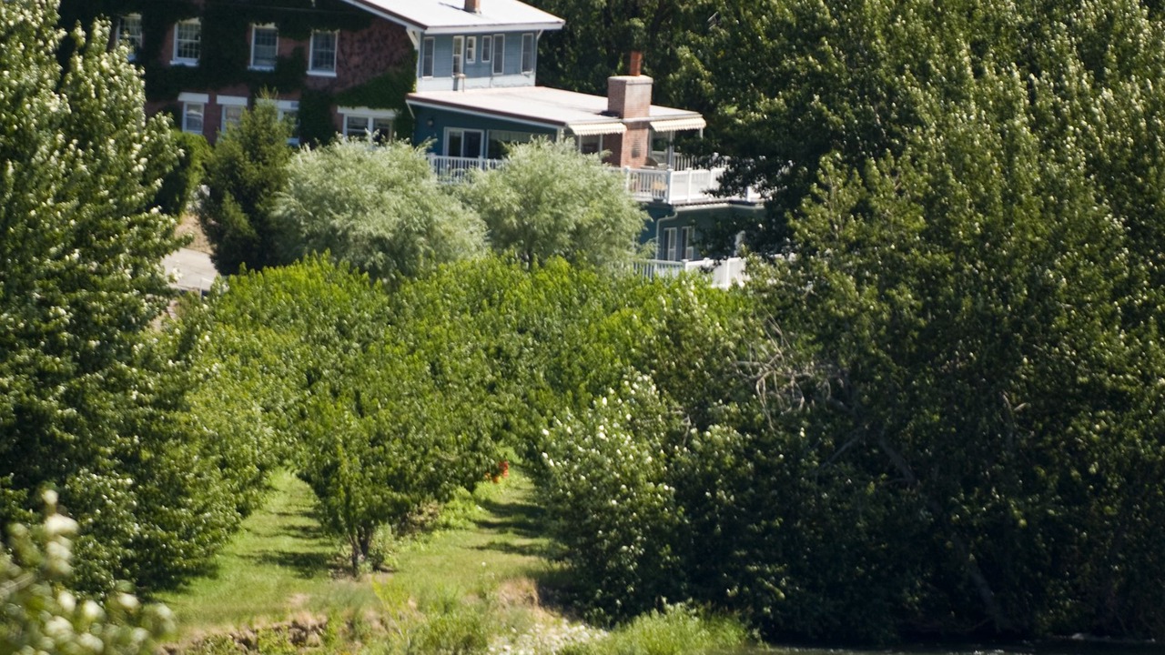 Photo of Outdoor in Sunnyslope