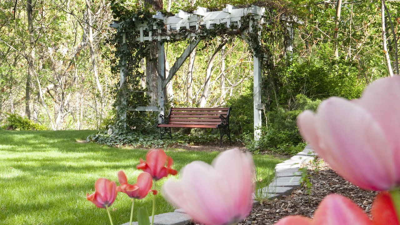 Photo of Outdoor in Sunnyslope