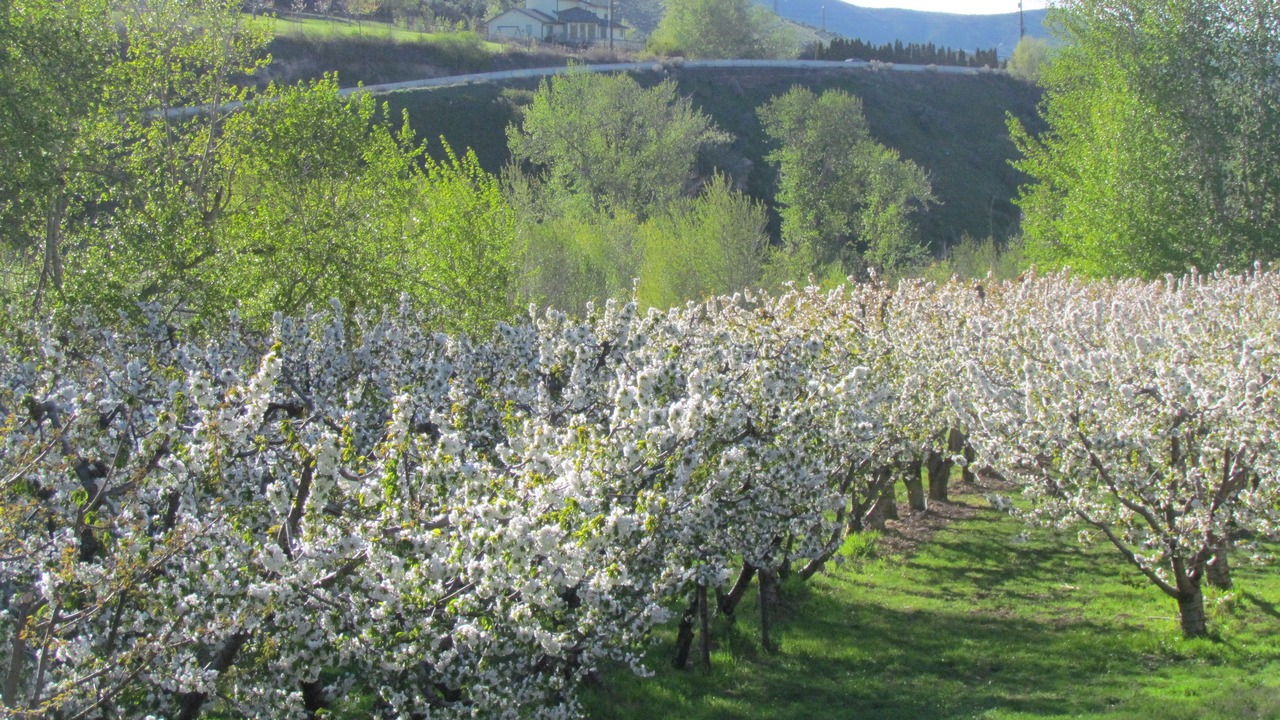 Photo of Bedroom in Sunnyslope