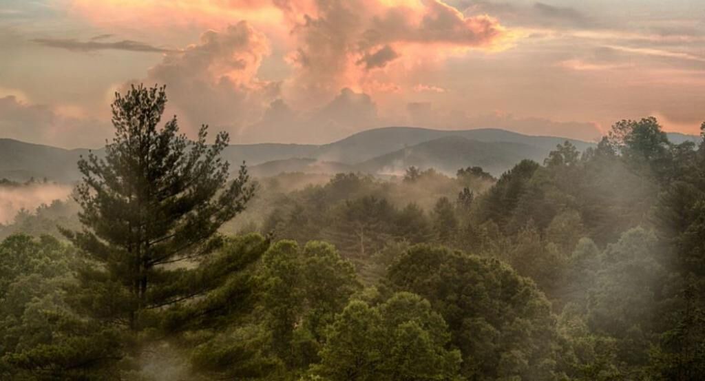Photo of Others in Dahlonega