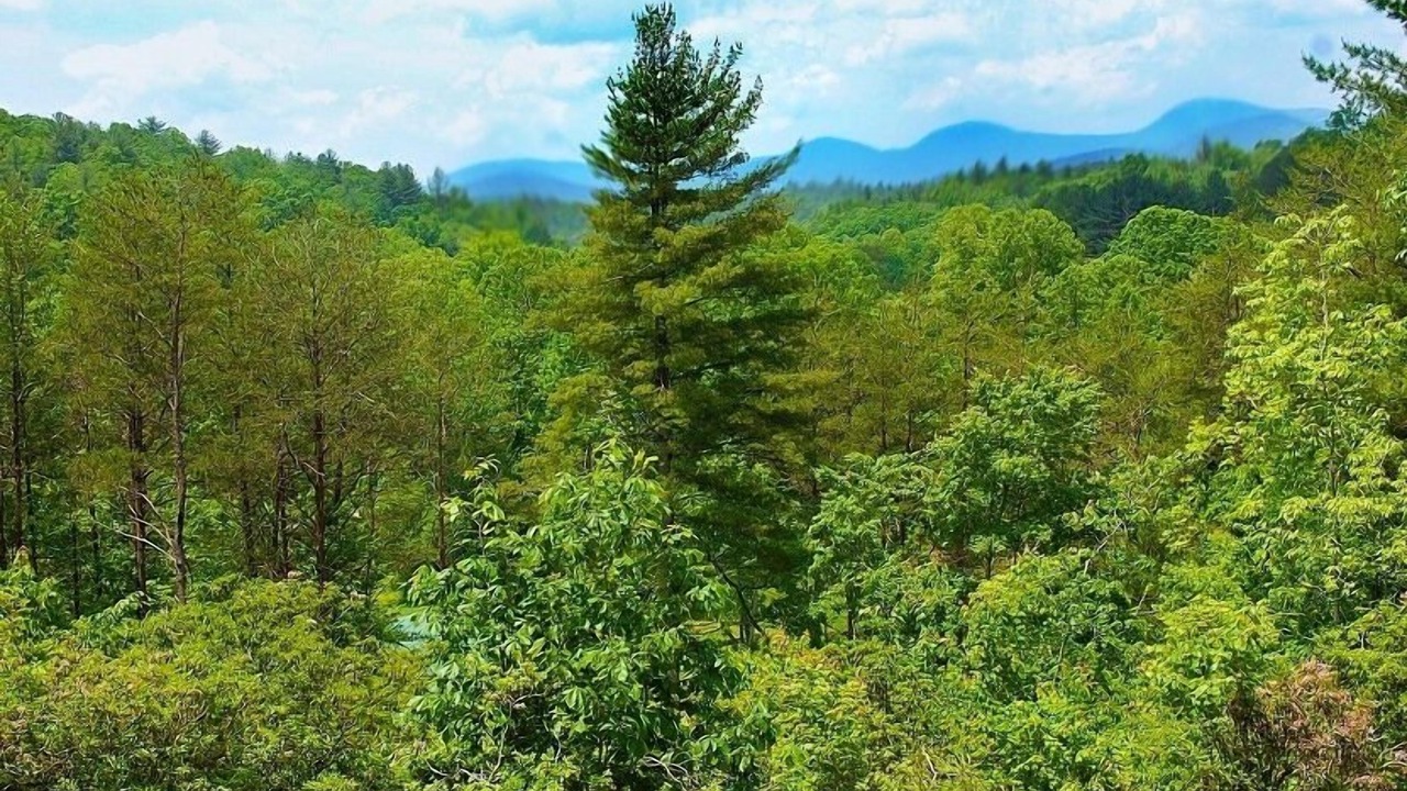 Photo of Bedroom in Dahlonega