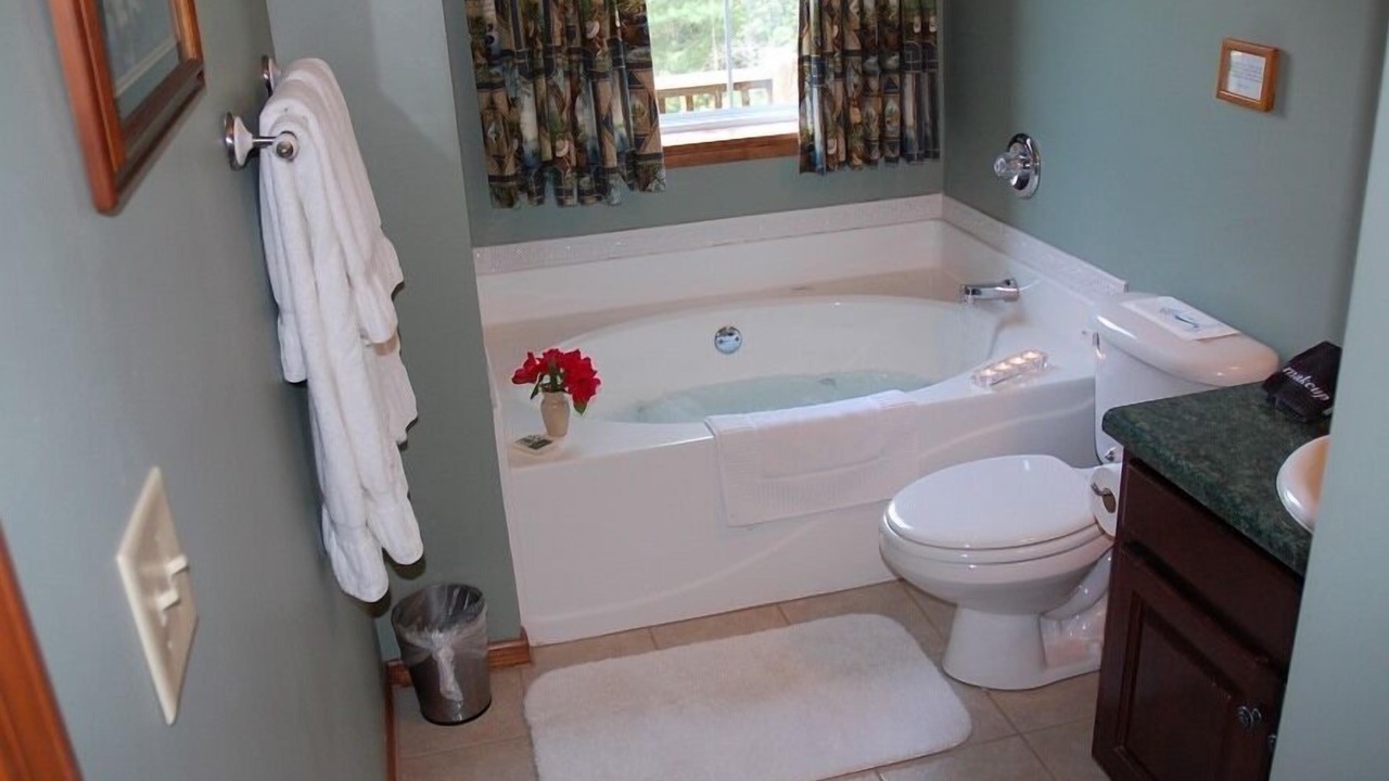 Photo of Bathroom in Dahlonega