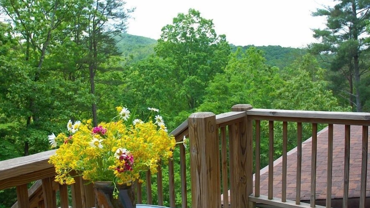 Photo of Patio Balcony in Dahlonega