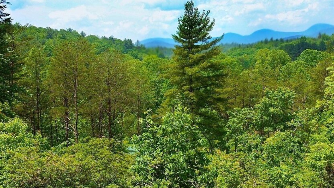 Photo of Bedroom in Dahlonega