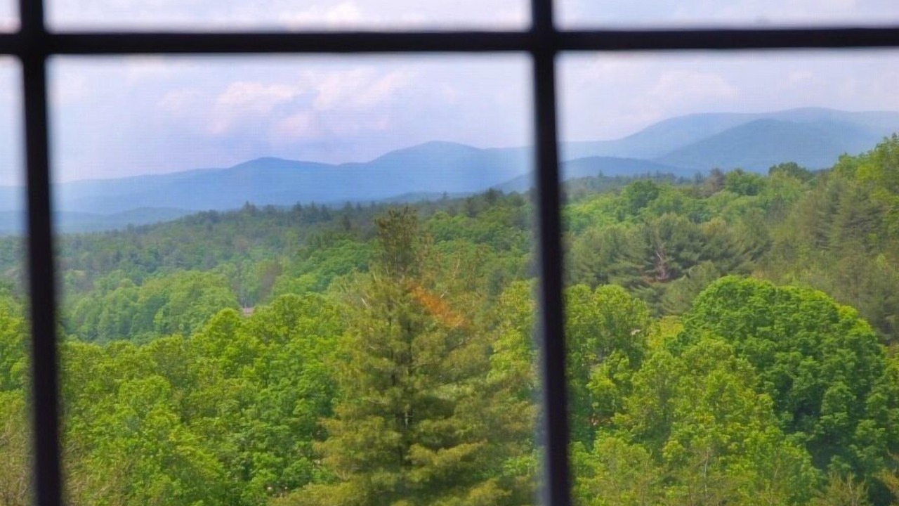 Photo of Others in Dahlonega