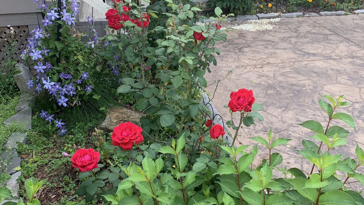 Photo of Outdoor in St. Davids