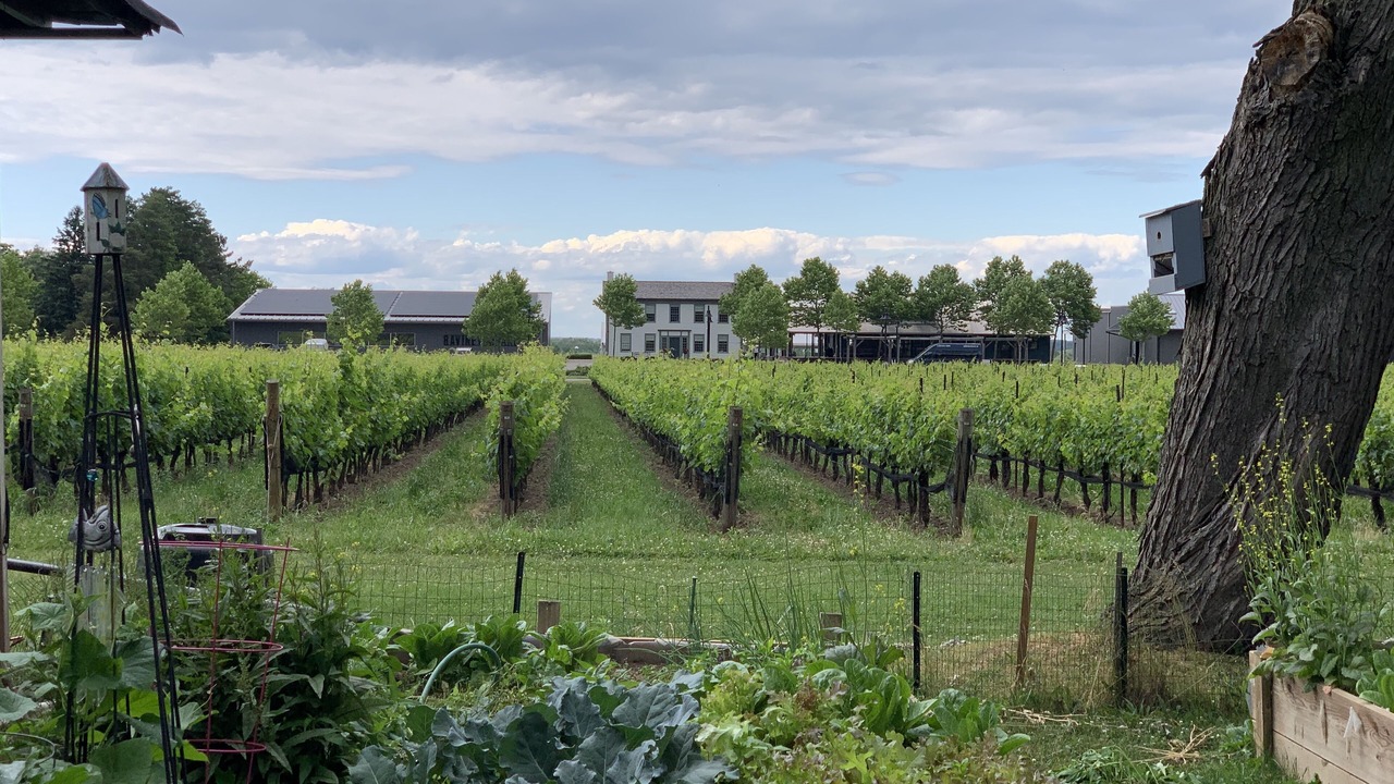 Photo of Others in St. Davids