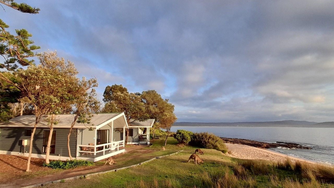 Photo of Outdoor in South Durras