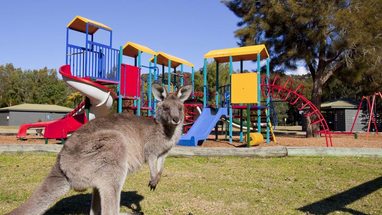 Photo of Others in South Durras