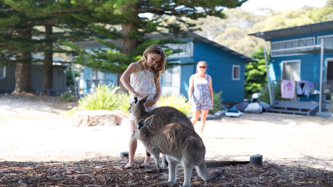 Photo of Outdoor in South Durras