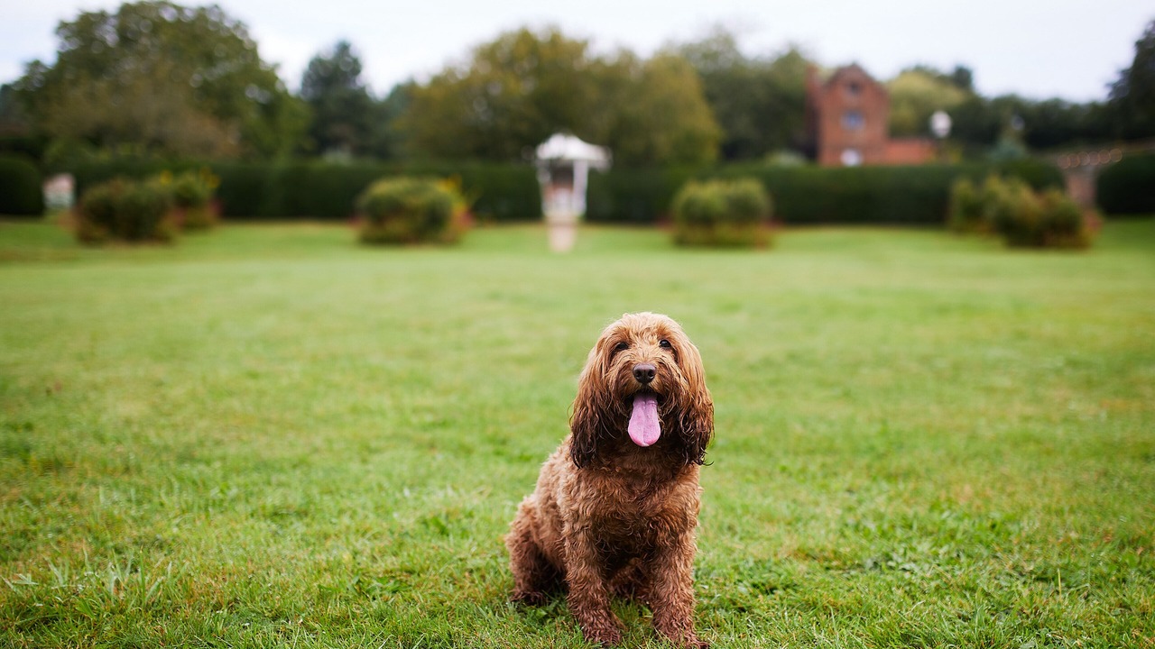 Photo of Outdoor in Martlesham Heath