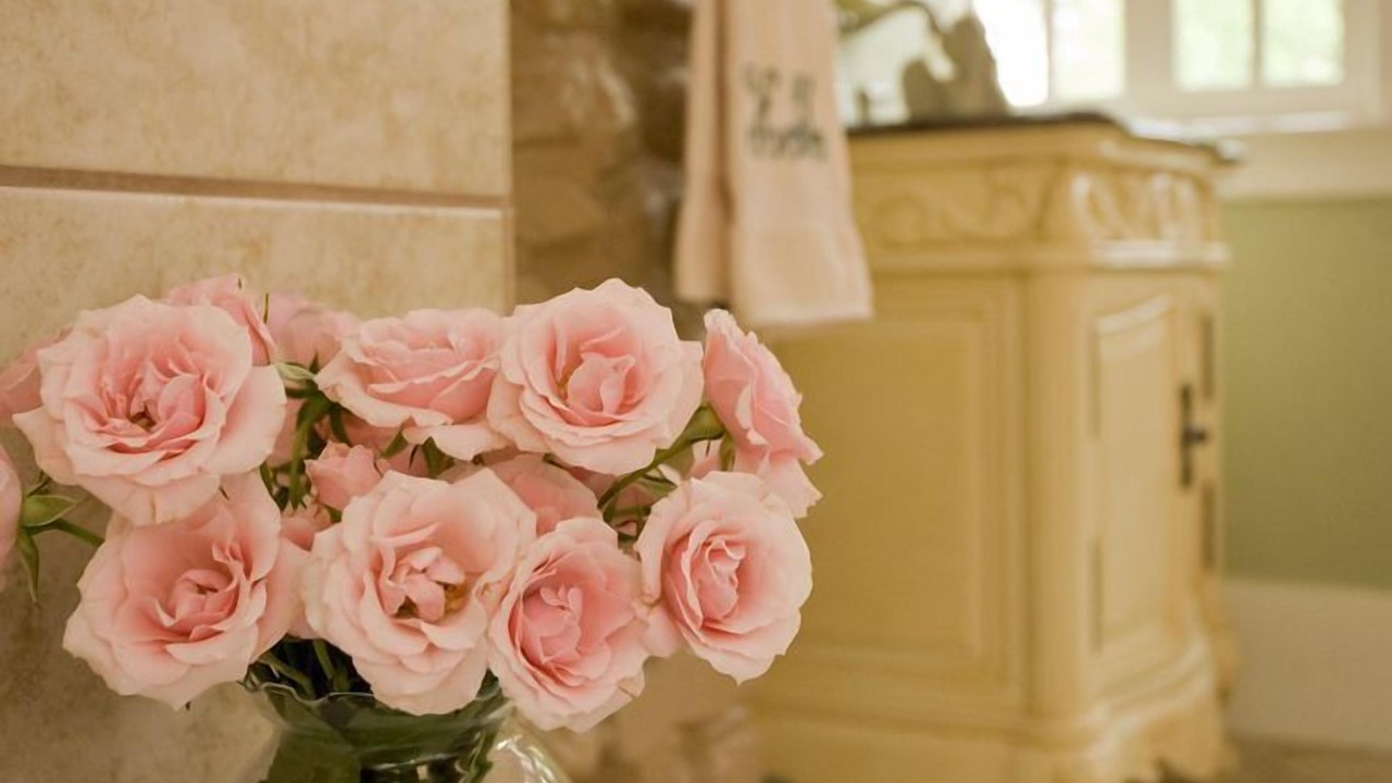 Photo of Bathroom in Hot Springs