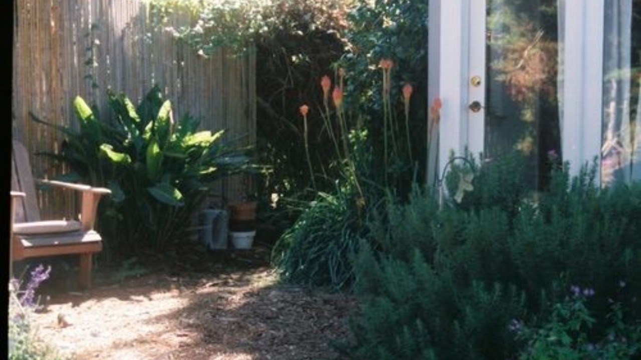 Photo of Outdoor in Marine Terrace
