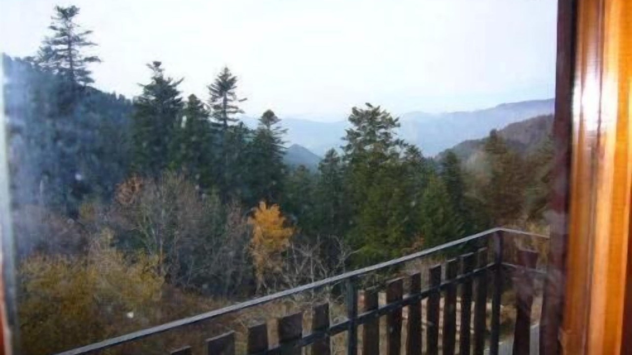 Photo of Patio Balcony in La Bollene-Vesubie