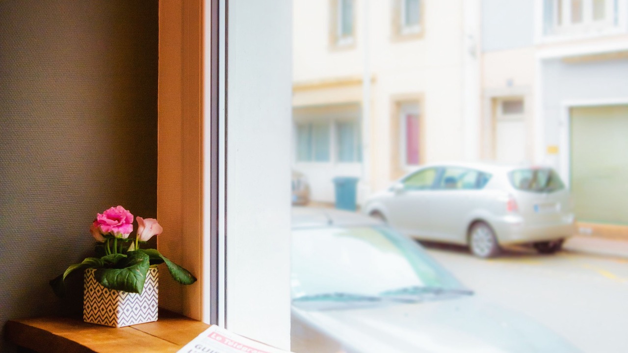 Photo of Others in Lorient