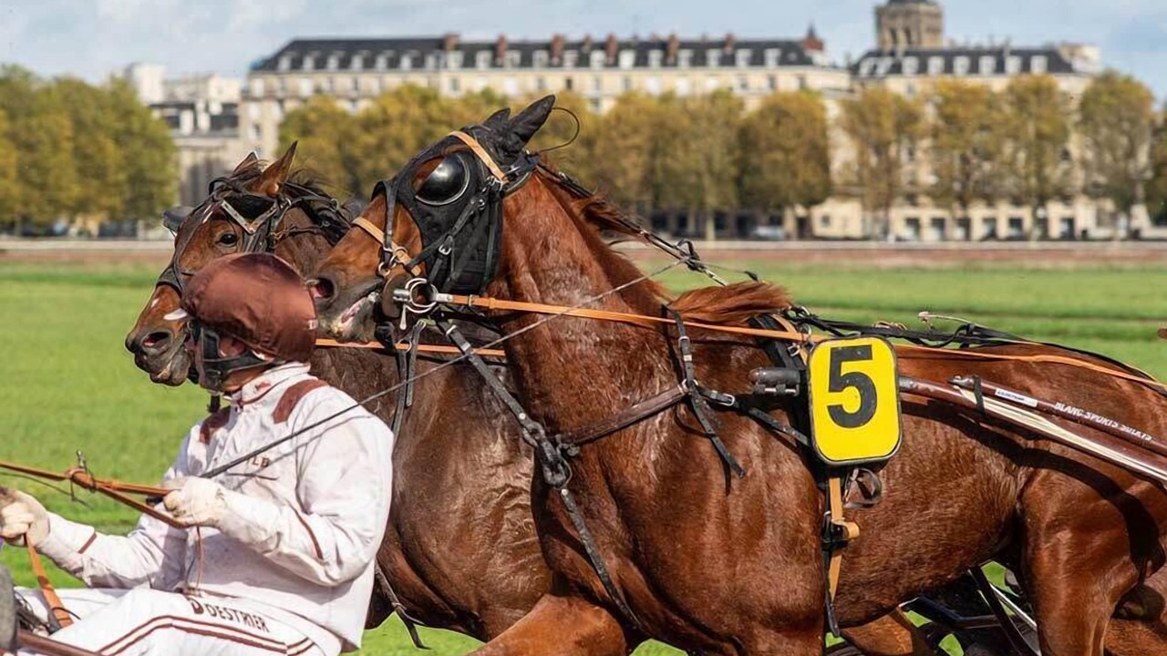 Photo of Others in Vincennes