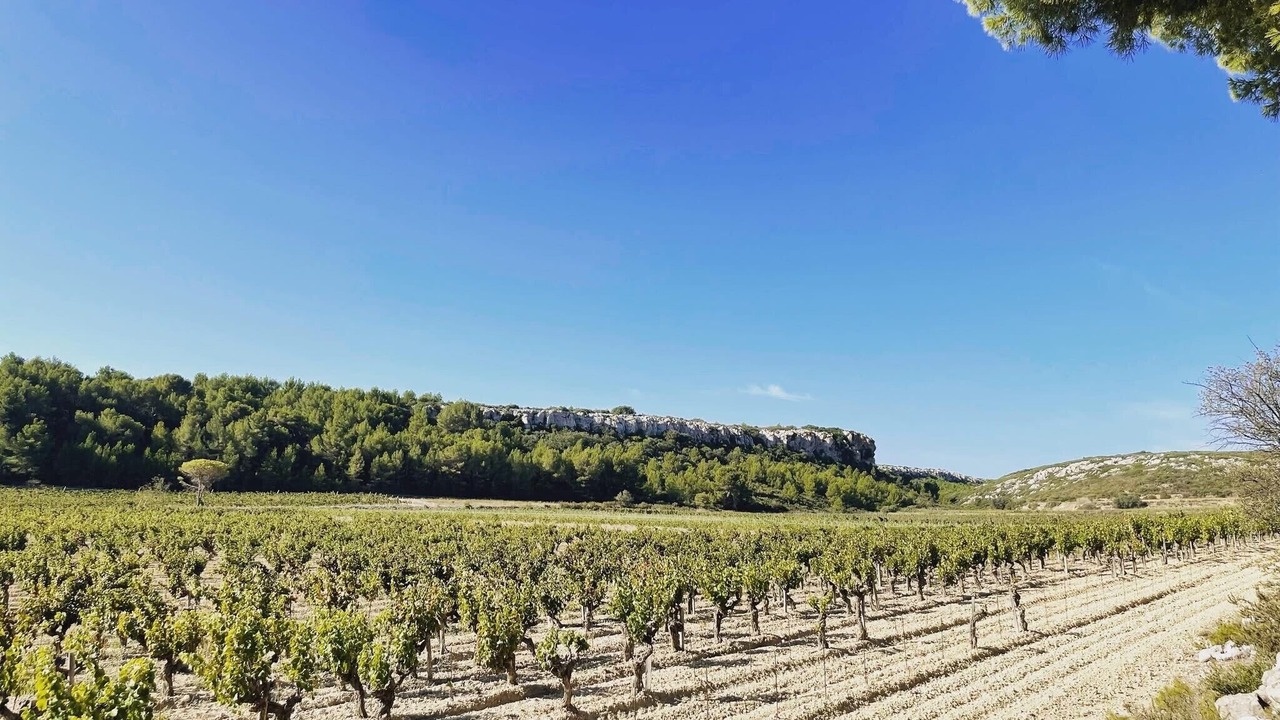 Photo of Outdoor in Vinassan