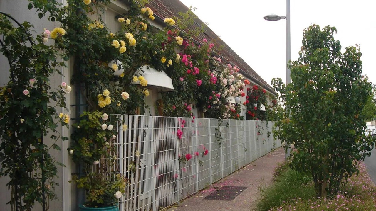 Photo of Outdoor in Rungis