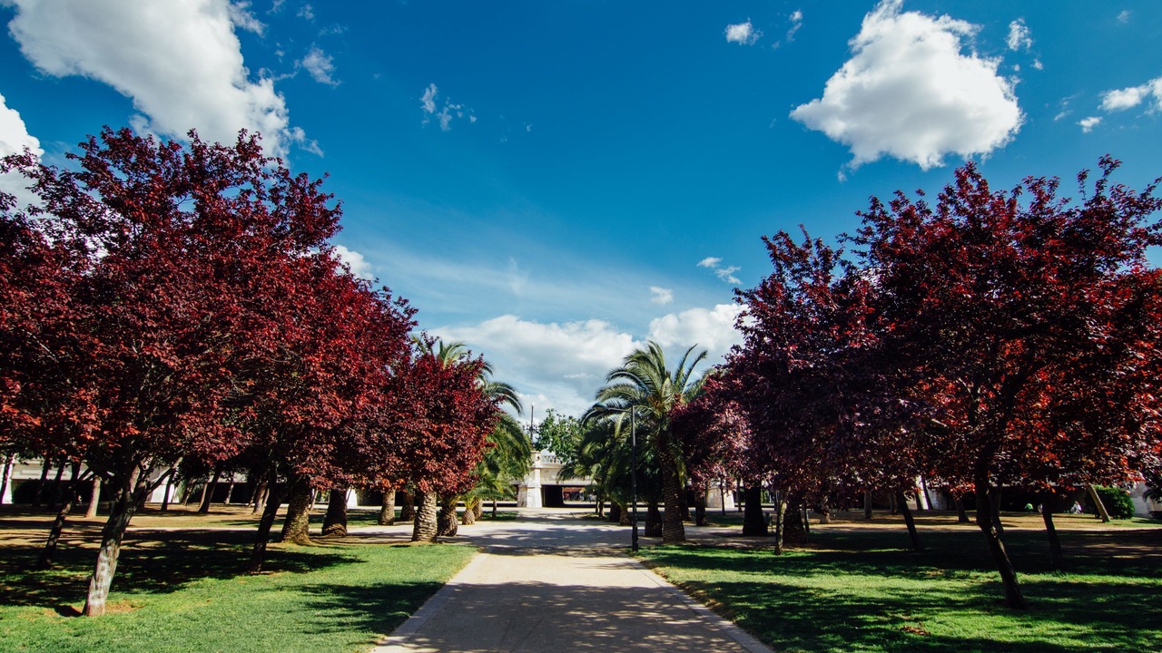 Photo of Outdoor in Ciutat de les Arts i les Ciencies