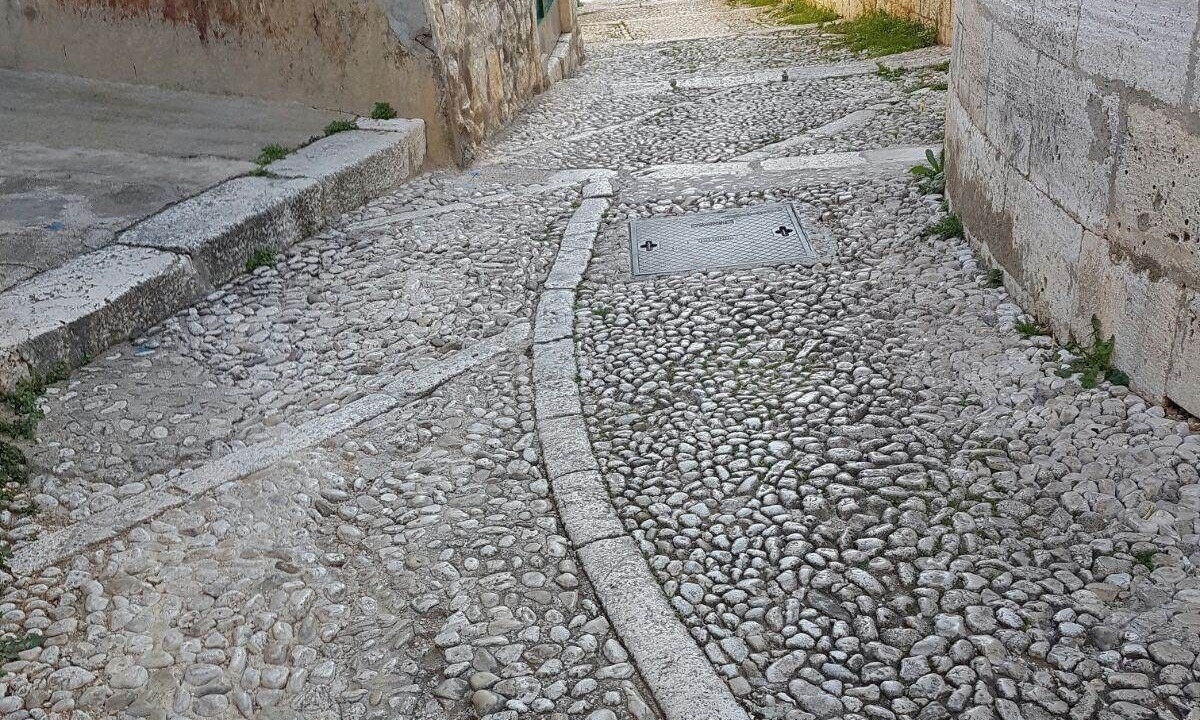 Photo of Others in Milna (Brac)