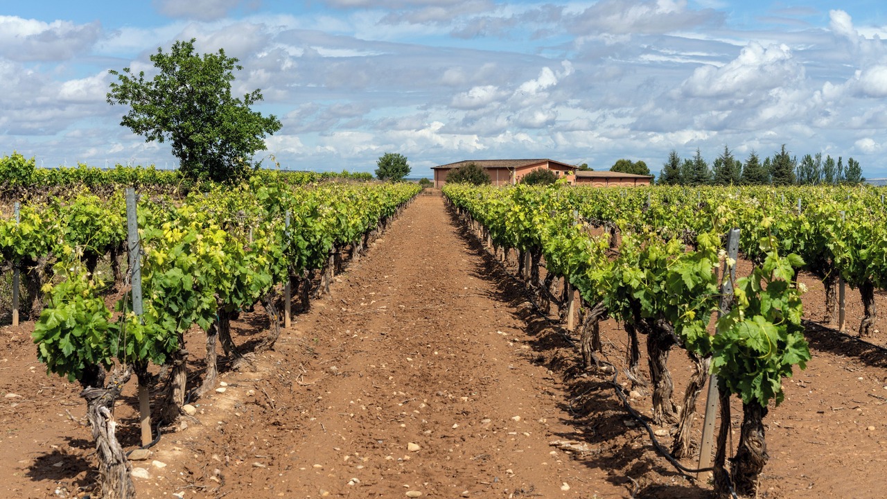 Photo of Outdoor in Calahorra
