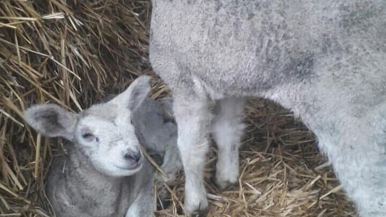 Photo of Outdoor in Wierre-Effroy