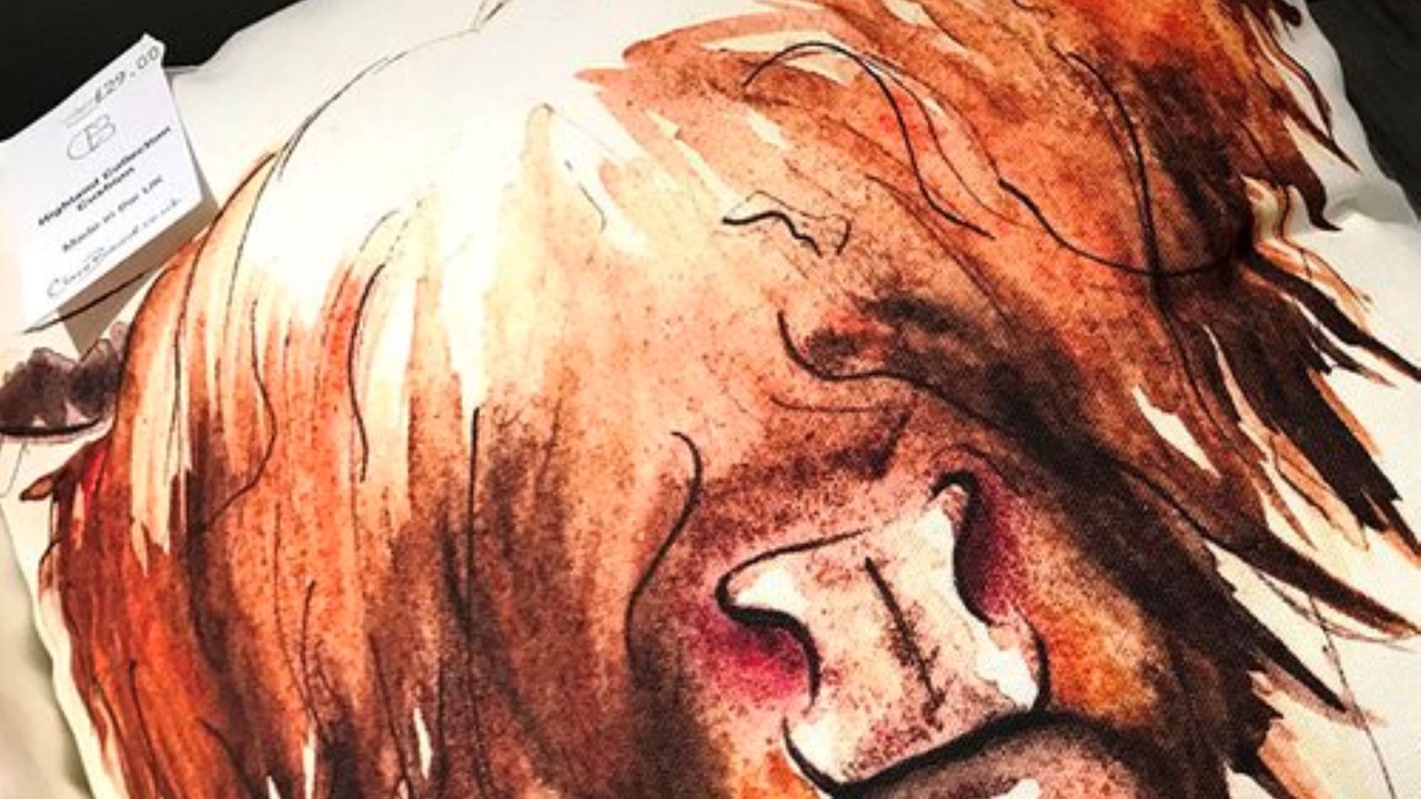 Photo of Others in Lewiston