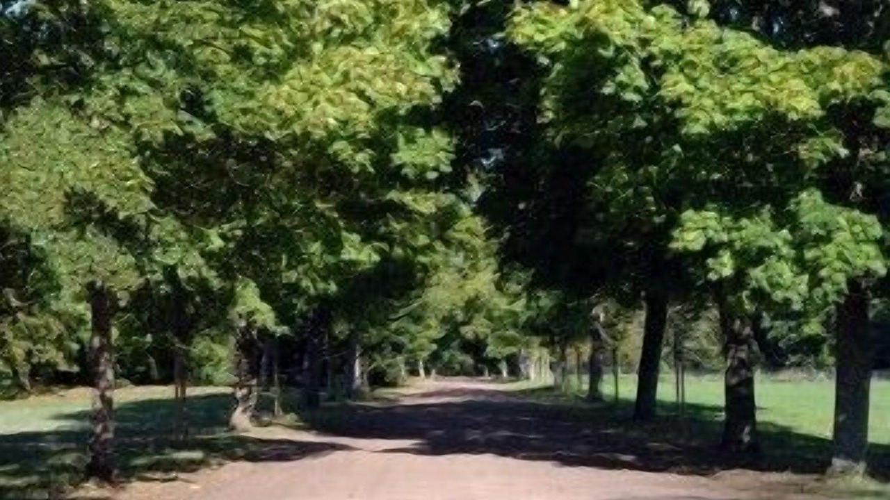 Photo of Outdoor in Briare