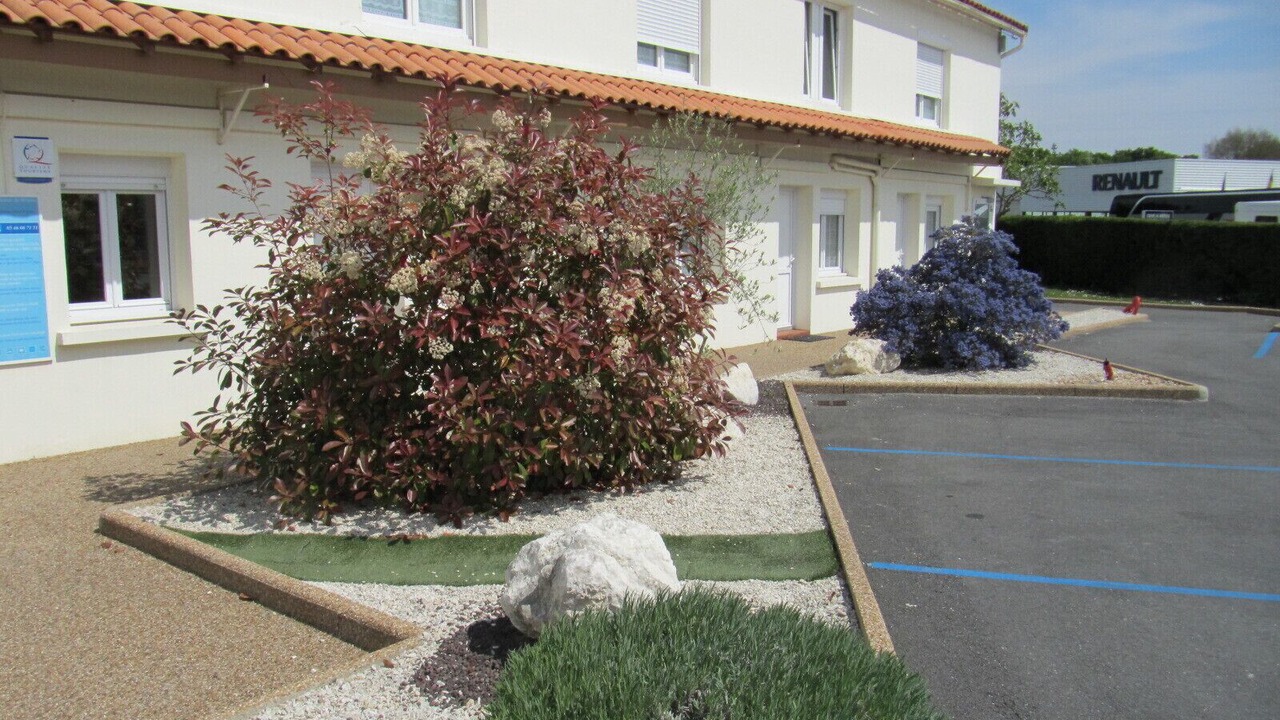 Photo of Others in Medis