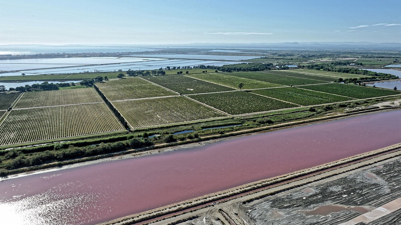 Photo of Others in Aigues-Mortes Medieval City
