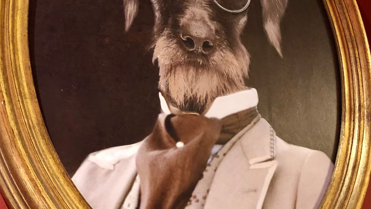 Photo of Others in Aigues-Mortes Medieval City