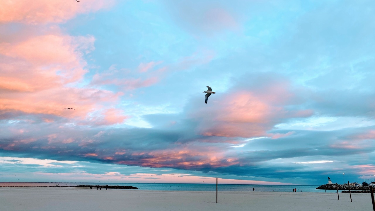 Photo of Bedroom in Palavas-les-Flots