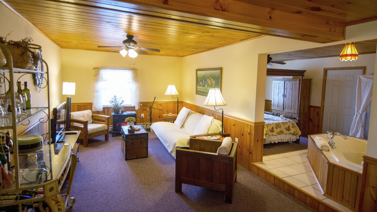 Photo of Livingroom in Himrod