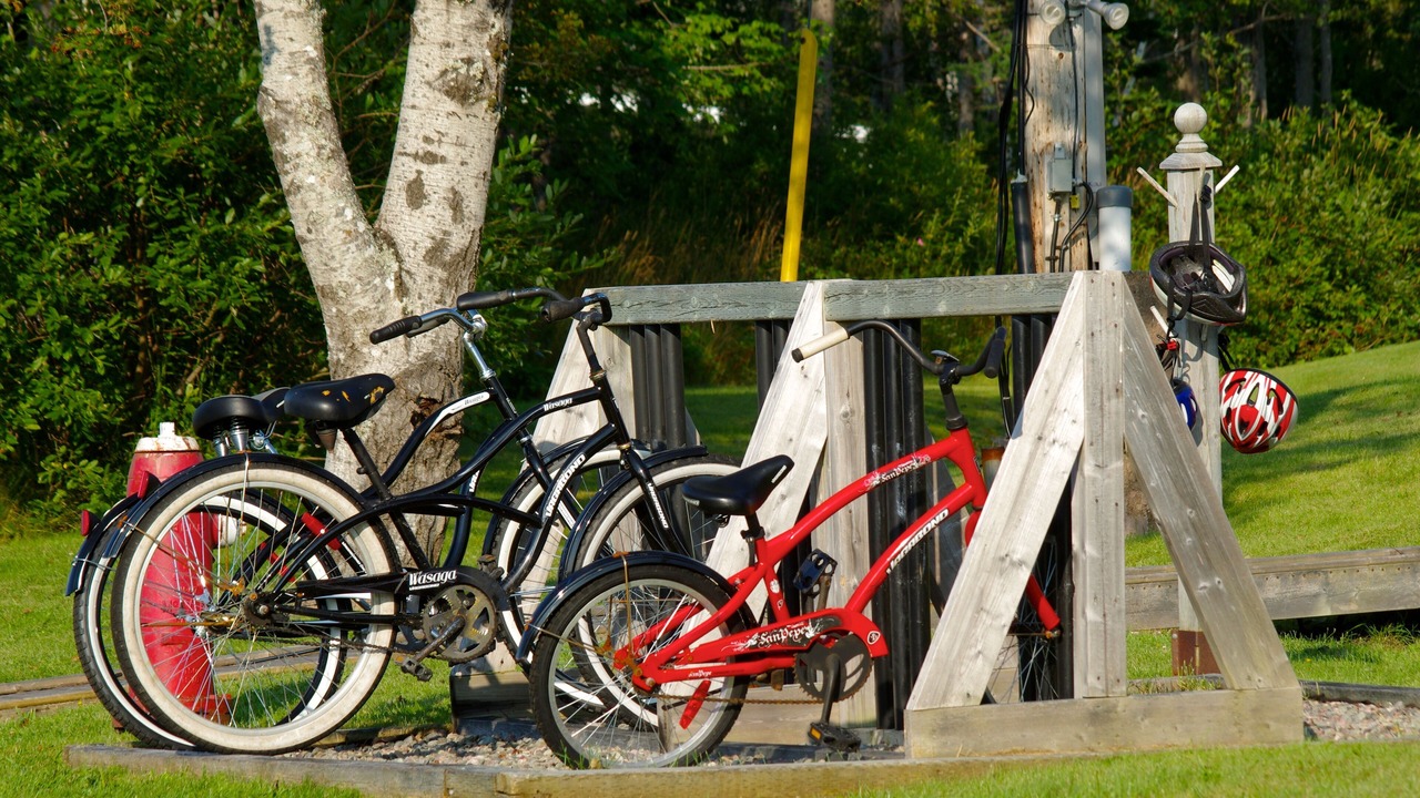 Photo of Outdoor in Baddeck