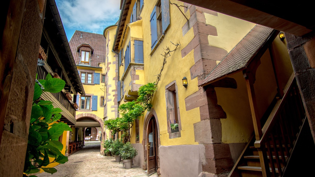 Photo of Outdoor in Riquewihr