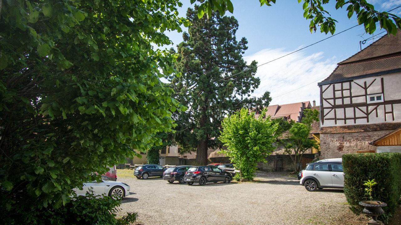 Photo of Outdoor in Riquewihr