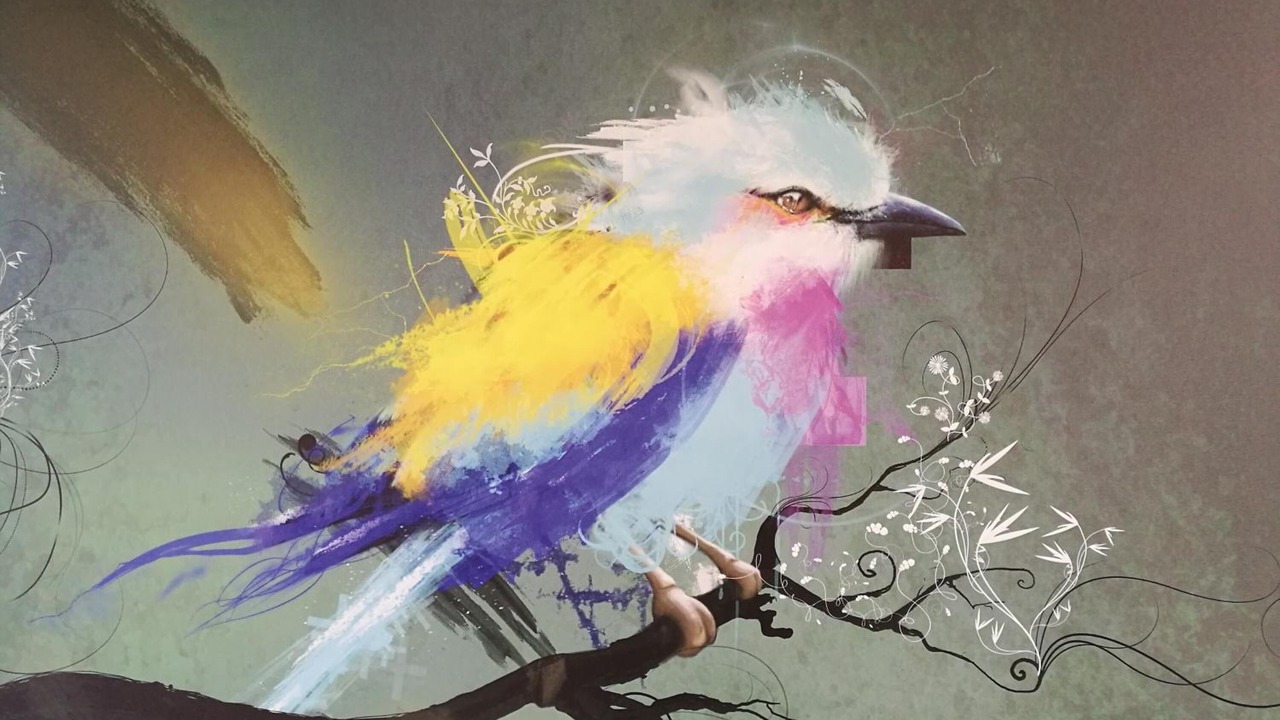 Photo of Others in Halluin