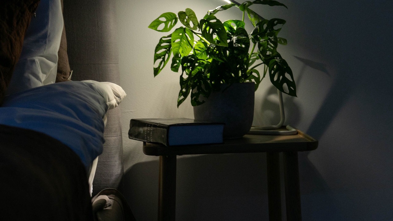 Photo of Bedroom in De Beauvoir