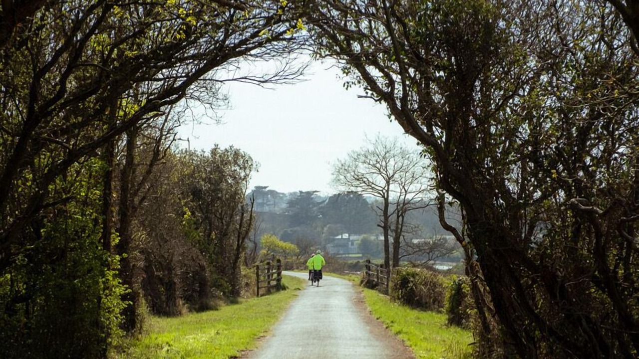Photo of Outdoor in Littleham