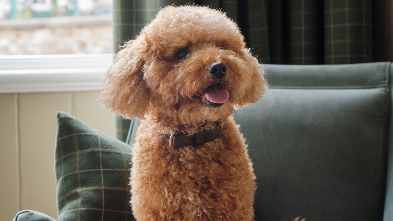 Photo of Bedroom in Littleham