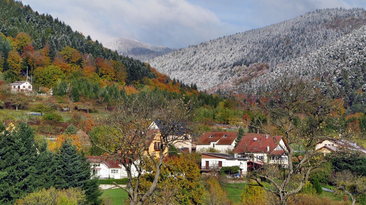 Photo of Others in Oberhaslach